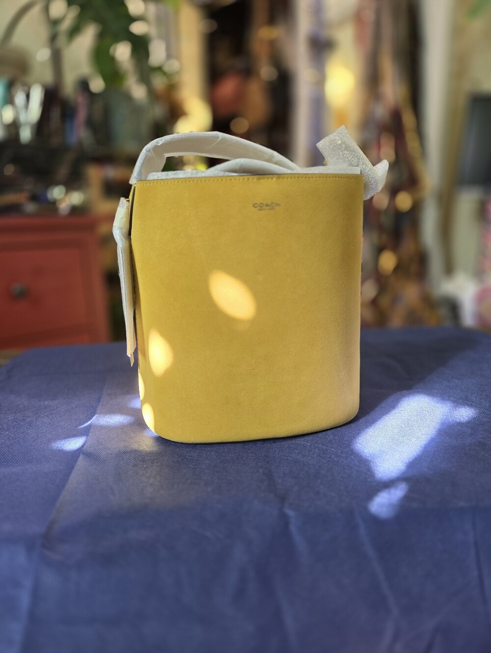 Coach Bleeker Bucket Bag 21